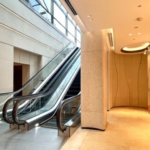 Escaleras mecánicas comerciales de alta calidad para centros comerciales y supermercados, escaleras mecánicas de alta velocidad para estaciones de tren - Product Image 5