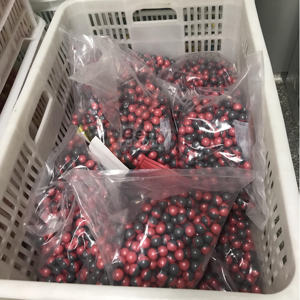 Billes de peinture gonflables en gélatine de calibre 0,68, vente en gros en Chine, couleur et logo personnalisés, jeux de tir sportifs de plein air, 68 - Product Image 4