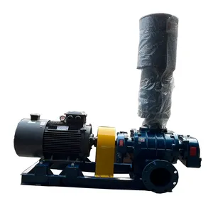 Silenziatore e affidabile per applicazioni di pressurizzazione del gas per radici sottovuoto soffiatore per radici scaricatori marini