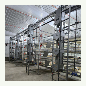 Nouveau modèle de cages à poulet Cage pour volaille Cages pour poules pondeuses/poulets de chair pour l'élevage de poulets - Product Image 1