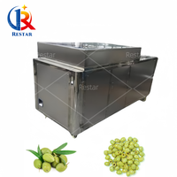 Machine de séparation de noyaux de fruits Machine de dénoyautage de graines d'olive automatique