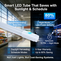 Lámparas Tubulares LED T5 con Carcasa de Aluminio, Clasificación IP20, Luz Diurna de 6000K, Vida Útil de 50000 Horas para Uso en Oficinas