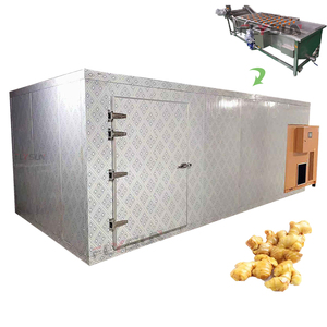 Línea de Producción de Lavado y Secado de Jengibre con Ahorro de Energía, con Lavadora de Burbujas para el Procesamiento de Cúrcuma, Jengibre y Rizomas - Product Image 1
