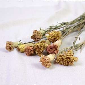 Offre Spéciale : Tiges de Œillets Séchés Naturels – Fleurs Préservées pour la Fête des Mères, Idéales pour la Décoration de Vase - Product Image 6