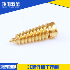 Pièces en cuivre, composants en laiton, arbres usinés de 10 mm de diamètre pour applications personnalisées, origine Wenzhou - Product Image 3
