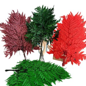 Foglie di Papparella Arachniodes Essiccate per Decorazioni di Bouquet Nuziali, Fiori Secchi - Product Image 4