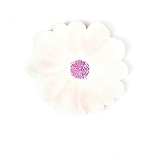 DAMAI New Design Happy Birthday Party Supplies Set with Pink Gingham and Garden Floral Paper Plates Disposable Cups Napkins - Product Image 6