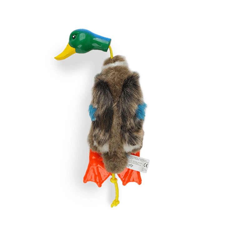 4070 Canard chasseur
