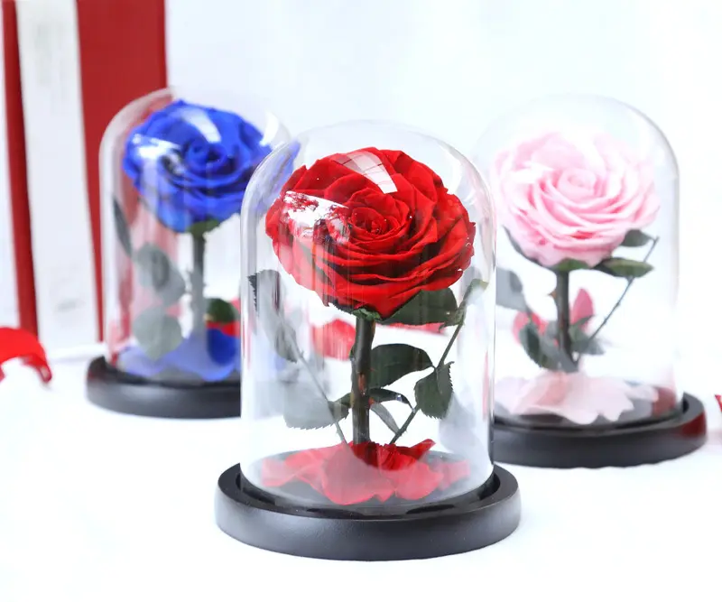 wholesale real preserved rose in glass dome Decorative Flowers for Festive Party Valentine's Day