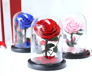 Оптовая продажа, настоящая консервированная Роза в стеклянном куполе, декоративные цветы для праздничной вечеринки, Дня Святого Валентина