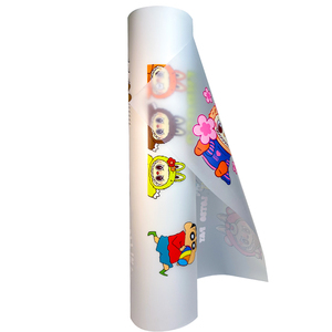 Çift Mat Yüksek Sıcaklıkta Isı Transfer Filmi 30/33/40/45/60/80cm Giysiler için DTF Transfer Filmi - Product Image 3