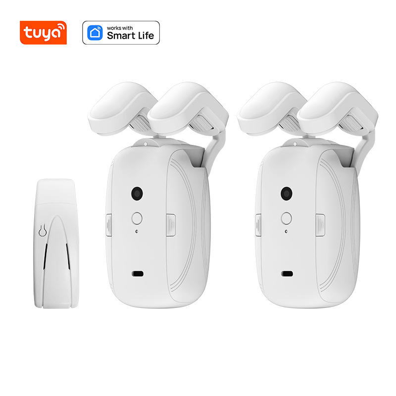 หุ่นยนต์คู่