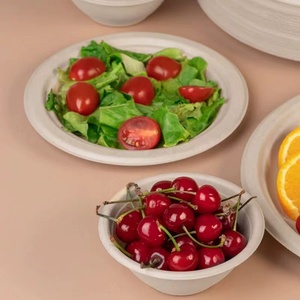 Venda quente descartável Natural biodegradável Take Away Round Salad Bowl