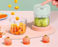 Mini hachoir alimentaire électrique USB, presse-ail, hachoir à ail électrique, acier inoxydable, portable, usage domestique, capacité de 2,1 à 3 L