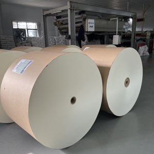 Rouleau de papier enduit de PE blanc et kraft de qualité alimentaire 150 à 350 GSM - Product Image 1