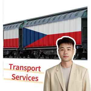 Stabile veloce oceano camion di origine est autotrasporti + espresso trasporto merci internazionale a cz/slovacchia/Austria/polonia/germania - Product Image 5