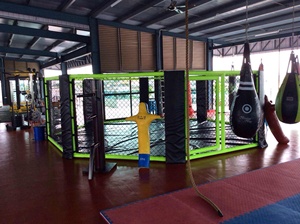 Cages de <span class=keywords><strong>combat</strong></span> pour coqs, Boîtes de <span class=keywords><strong>combat</strong></span> pour poulets, Cages hexagonales et octogonales, <span class=keywords><strong>Cage</strong></span> MMA pliable pour coqs - <span class=keywords><strong>En</strong></span> promotion - Product Image 5