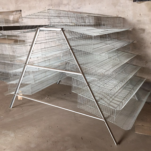 Pas cher UN type galvanisé cage de caille d'équipement animal ferme <span class=keywords><strong>maison</strong></span> bâtiment à vendre - Product Image 5