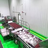 Palm Data Verwerking Lijn Jujube Verwerking Machine Datum Siroop Verwerkingsbedrijf Fabriek Fabrikant