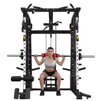 Équipement de gymnastique à usage domestique Cage d'alimentation tout-en-un Câble croisé Entraîneur multifonctionnel Rack d'alimentation Smith Squat Machine