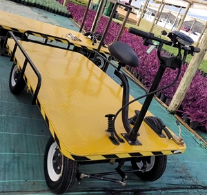 <span class=keywords><strong>Chariot</strong></span> de transport électrique à plateau plat robuste à quatre roues, <span class=keywords><strong>chariot</strong></span> à plateforme de chargement électrique, <span class=keywords><strong>chariot</strong></span> à main, <span class=keywords><strong>voiture</strong></span> - Product Image 2