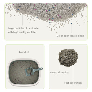 Prodotti <span class=keywords><strong>per</strong></span> animali domestici di tendenza 2023 petshop scatola di sabbia <span class=keywords><strong>chiusa</strong></span> <span class=keywords><strong>per</strong></span> <span class=keywords><strong>lettiera</strong></span> di bentonite che si aggruppa di gatti