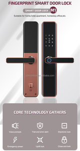 Mới Đầy Đủ Hợp Kim Khung Keyless Điện Khách Sạn 2025 Mã Cọ Từ Xa Mở Khóa Chống Trộm Sinh Trắc Học Cầu Nhập Tetlock Tuya Ứng Dụng Khóa - Product Image 6