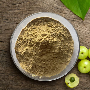 Gesundheits wesen Pflanzen pulver Phyllanthus Emblica Pulver - Product Image 5