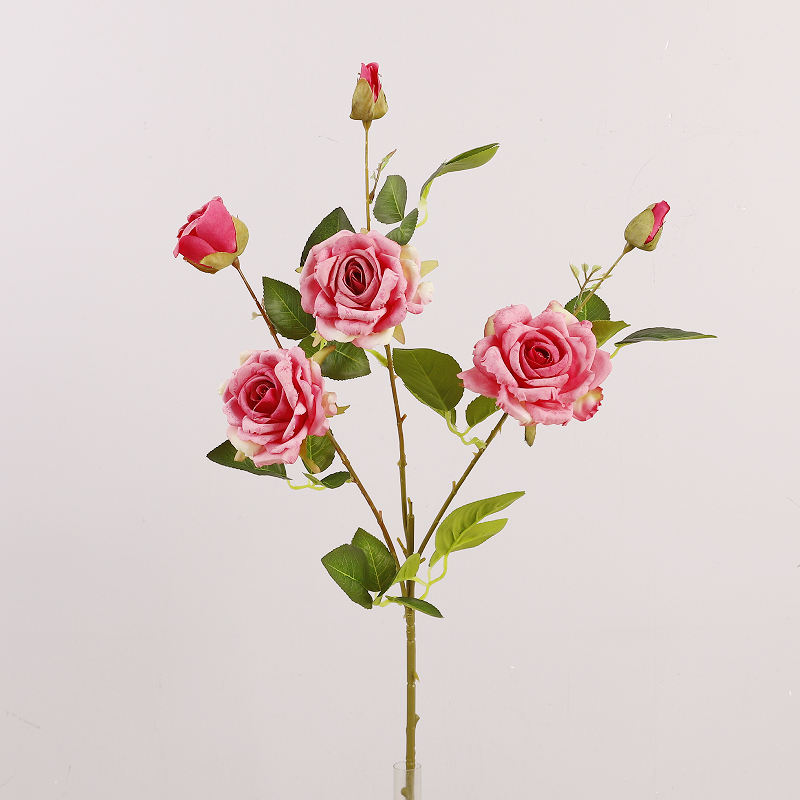 สีชมพูเข้ม