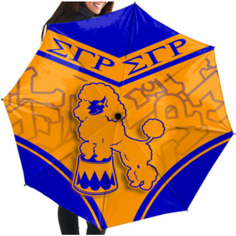 Sigma Gamma Rho 6