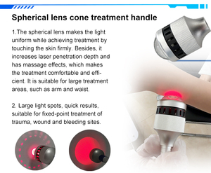 Nuevo Láser de <span class=keywords><strong>Diodo</strong></span> de 980 Nm para Veterinaria, Fisioterapia Animal, Alivio del Dolor, Esterilización y Antiinflamatorio, Láser Dental Oral - Product Image 5