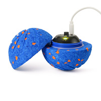 Wicked Ball Luftvibrations-Haustierspielzeug – Charmantes Großhandels-Hundespielzeug aus Naturmaterialien für Weihnachten und Valentinstag