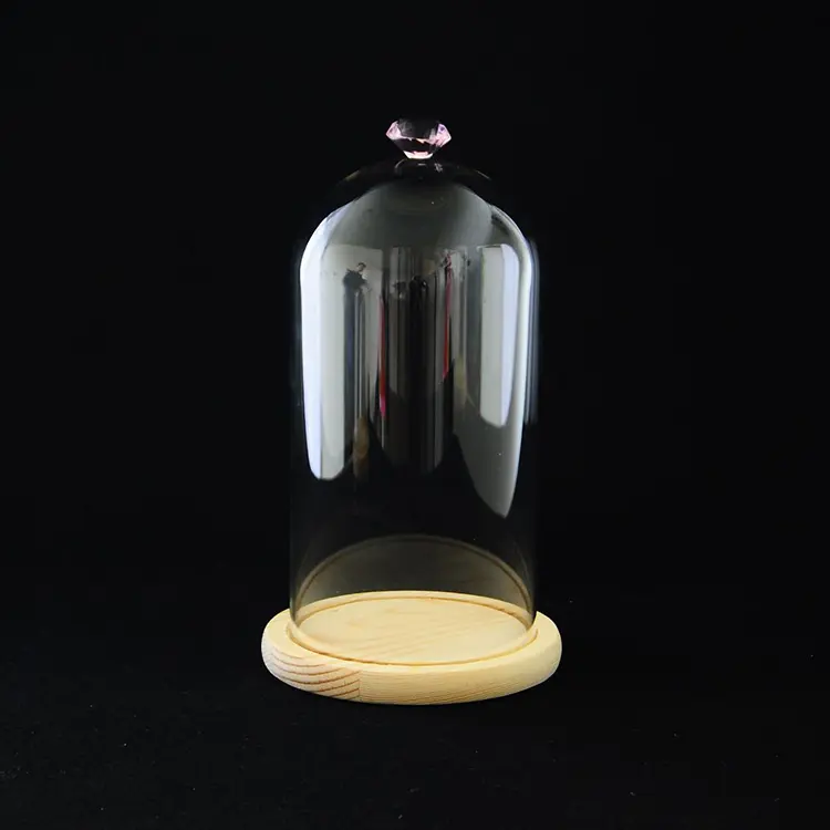 Le luci della stringa del prodotto popolare hanno condotto la cupola di vetro dei barattoli della campana di vetro con la Base