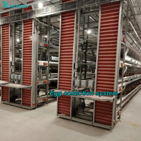 Nouveau système de cages en H entièrement automatique pour l'élevage de poulets, avec collecte des œufs, alimentation et abreuvement, en acier galvanisé à chaud, équipement avicole