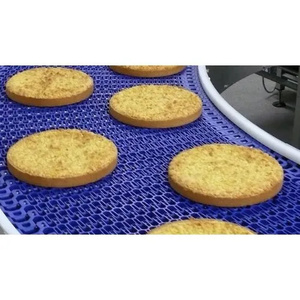 Transportador de Cadena Modular de Plástico POM PP con Marco de Acero Inoxidable de Grado Alimenticio de Alta Calidad para Línea de Producción - Product Image 4