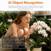 Lunettes de soleil intelligentes IA à traduction en temps réel mains libres avec caméra, design pliable, photo et vidéo 8MP, autonomie de batterie toute la journée