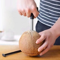 Outil d'ouverture de noix de coco en acier inoxydable durable, perceuse à noix de coco, ouvre-noix de coco, outil manuel