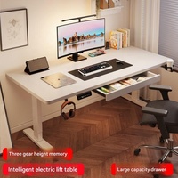 Escritorio de Oficina Convertible de Metal Moderno y de Lujo para Apartamento y Escuela, Diseño Ergonómico Ajustable con Almacenamiento, Hecho en Jiangsu, China