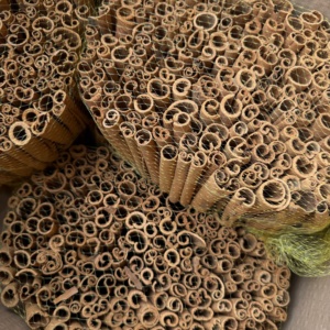 Kayu Manis Kering Pedas Berkualitas Tinggi Grosir - Product Image 3