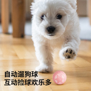 Juguete para gatos con forma de estrella rodante, 39g, ABS, silicona, patrón geométrico, para autoentretenimiento, juguete interactivo para mascotas - Product Image 1