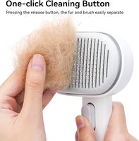 Brosse de toilettage pour chat, usage intérieur, peigne pour chats et lapins à poils longs et courts, outil de massage pour éliminer les poils d'animaux en surplus