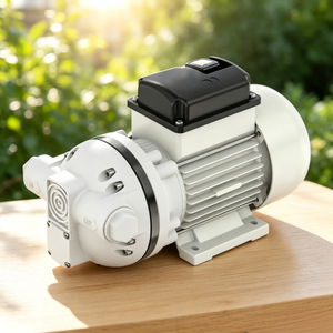 Pompa Oli Gear Listrik Tekanan Tinggi Industri <span class=keywords><strong>220</strong></span> Volt untuk Industri Bahan Bakar Bio dan Memindahkan Oli & Pelumas - Product Image 3