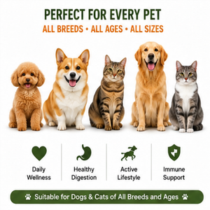 Friandises Tendres Sans Céréales pour Animaux de Compagnie (OEM/ODM) pour le Soutien Immunitaire, Contenant du Chardon-Marie/SAMe, Absorption Rapide et Sûres pour Chats et Chiens - Product Image 4