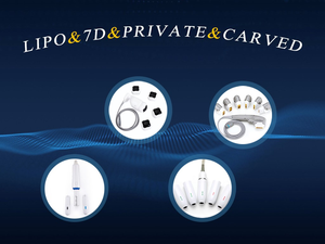 4 in 1 Adelgazar 4D 얼굴 리프팅 + 질 강화 + 조각 V max + Lipo 바디 슬리밍 뷰티 머신 - Product Image 4