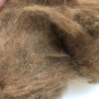 Laine de chameau dépoilée 23-26 microns, 100% poil de chameau naturel de haute qualité