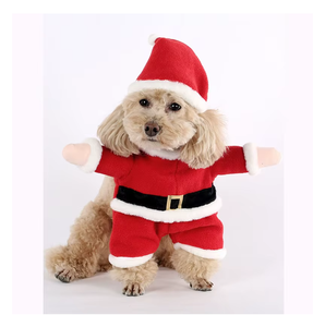 Ropa y Accesorios para Perros de Alto Rendimiento al por Mayor, Tendencia 2026 - Product Image 1