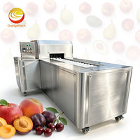 ORME Snoeipitmachine Elektrische Kersenontpitter Machine Dadel Longan Olijf Ontpitmachine Te Koop