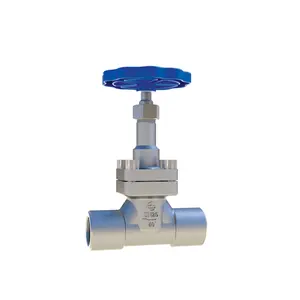 DJ-10G cryogenic pneumatic globe control valve High quality adjustable
