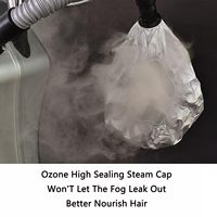 Support professionnel Ozone Micro Mist Nano Hair Styling Traitement Sèche-cheveux avec Double Caps Hair Steamer Machine
