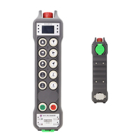 Télécommande de grue à 10 boutons, simple vitesse, avec verrouillage par empreinte digitale, 100 utilisateurs enregistrés, certifiée CE IP66